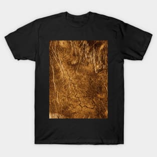 Fractured T-Shirt